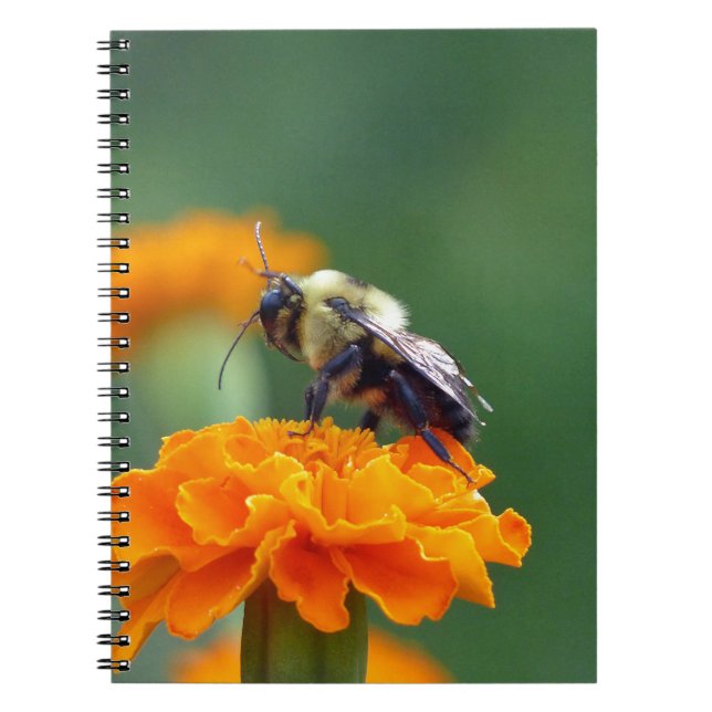 Carnet Busy Bee (Devant)