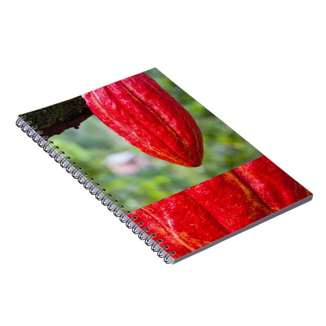Carnet cabosse rouge (Côté Droit)