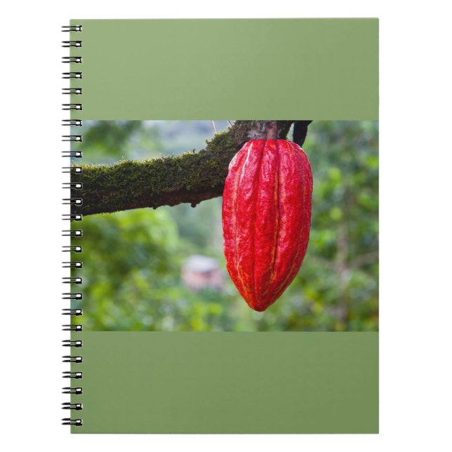 Carnet cabosse rouge (Devant)