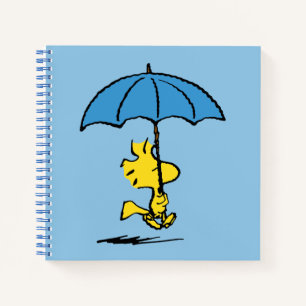 Carnet cacahuètes   Parapluie bleu Woodstock