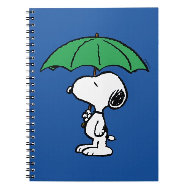 Carnet cacahuètes | Parapluie vert Snoopy (Devant)