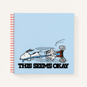 Carnet cacahuètes   Snoopy & Linus
