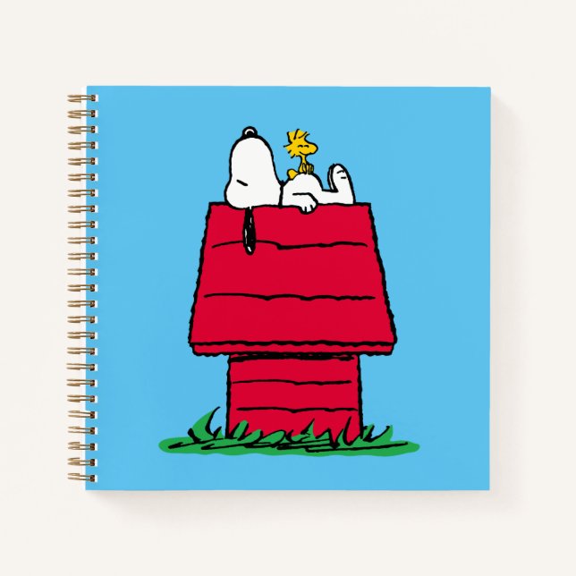 Carnet cacahuètes | Snoopy & Woodstock Doghouse (Devant)