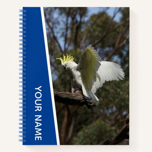 Carnet Cacatoès Australie Perroquet Oiseau Ailes, Bleu (Devant)