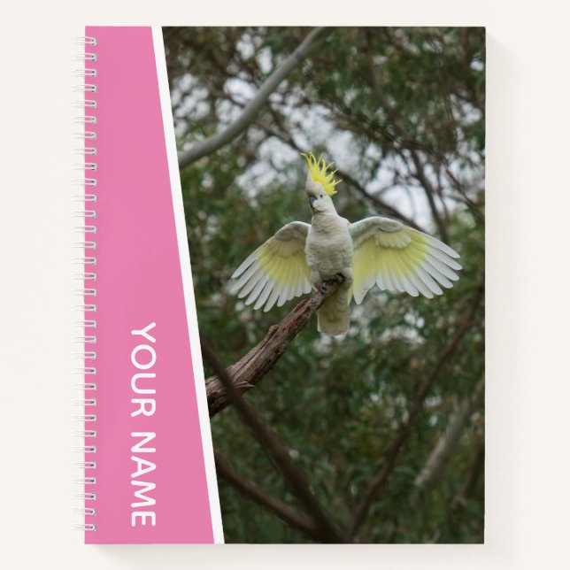 Carnet Cacatoès Australie Perroquet Oiseau Ailes, Rose (Devant)