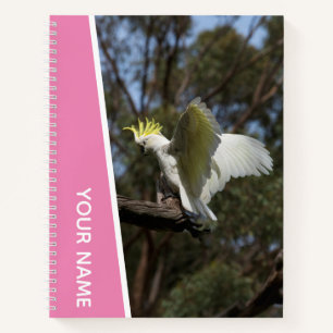 Carnet Cacatoès Australie Perroquet Oiseau Ailes, Rose
