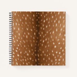 Carnet Cachage de cerf //