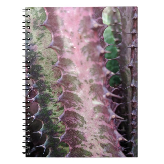 Carnet Cactus (Devant)