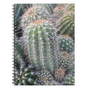 Carnet Cactus
