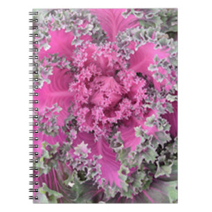 Carnet Cactus