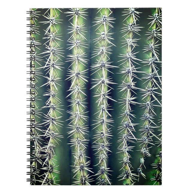Carnet Cactus (Devant)