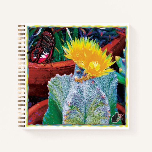 Carnet Cactus Caliente  (Devant)