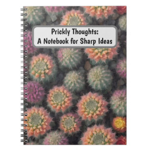 Carnet Cactus colorés
