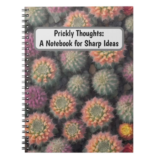 Carnet Cactus colorés (Devant)