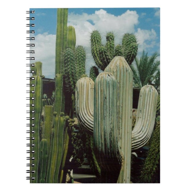 Carnet Cactus de l'Arizona (Devant)