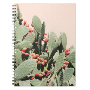 Carnet Cactus de poire de Prickley