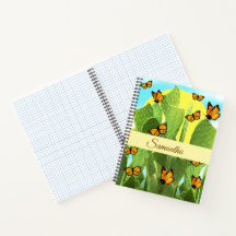 Cactus et papillons fantaisistes