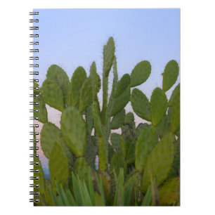Carnet Cactus et sisal en forêt sèche
