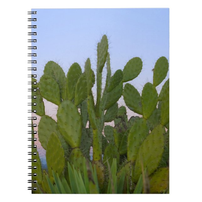 Carnet Cactus et sisal en forêt sèche (Devant)