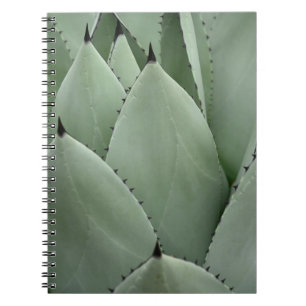 Carnet Cactus vert