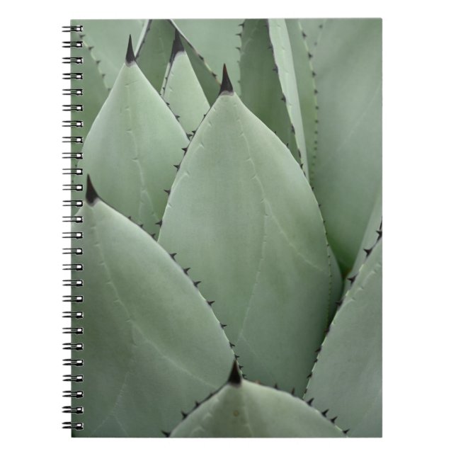 Carnet Cactus vert (Devant)