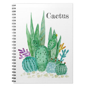 Carnet Cactus watercolor cacti flowers floral desert illu