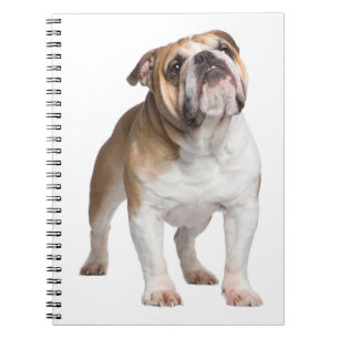 Carnet Cadeau maman chiot mignon Chien bouledogue anglais