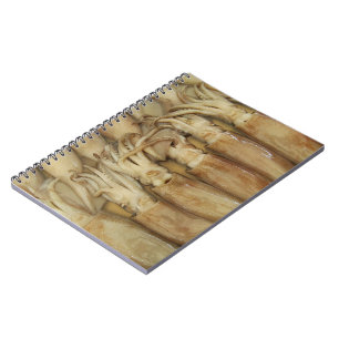 Carnet Calamari