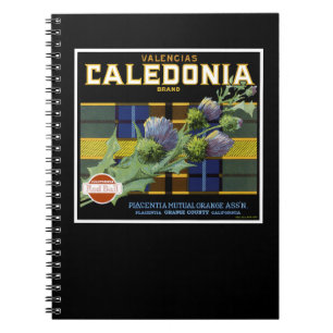 Carnet Caledonia Orange Étiquette
