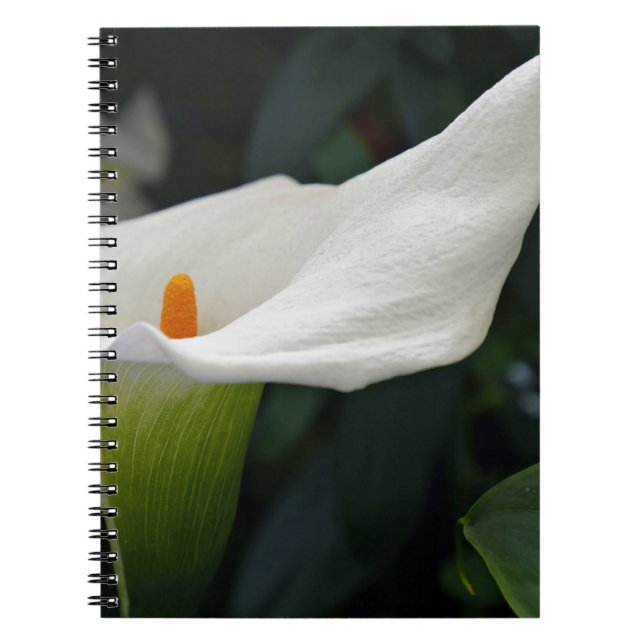 Carnet Calla Lily.JPG (Devant)