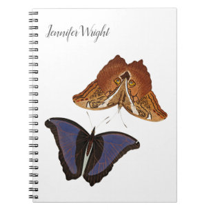 Carnet Calligraphie chic papillons minimalistes de nom