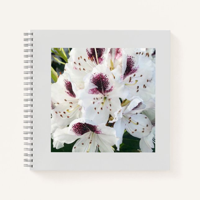 Carnet Calsap Rhododendrons (Devant)