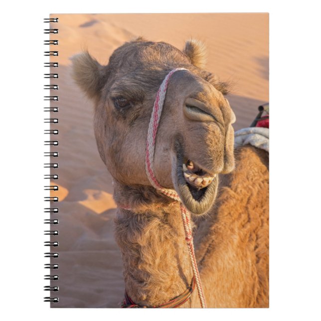 Carnet Camel avec une drôle d'expression faciale - Oman (Devant)