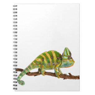 Carnet Caméléon