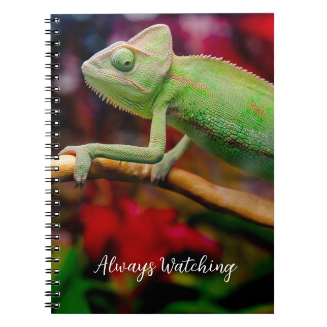 Carnet Caméléon vert sur la branche (Devant)