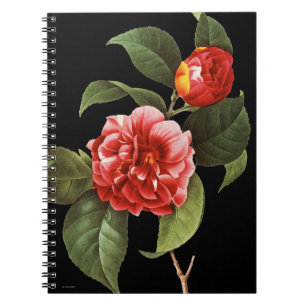 Carnet Camélia rouge, 1833