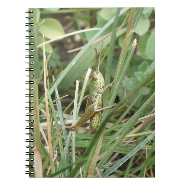 Carnet Camouflage de sauterelles (Devant)