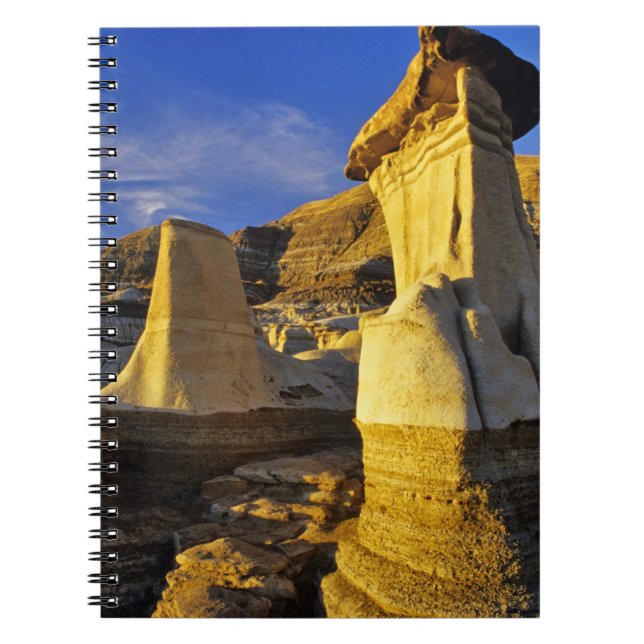 Carnet Canada, Alberta, Drumheller. Hoodoos. (Devant)
