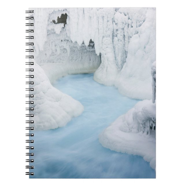 Carnet Canada, Alberta, parc national de Jasper. Les (Devant)