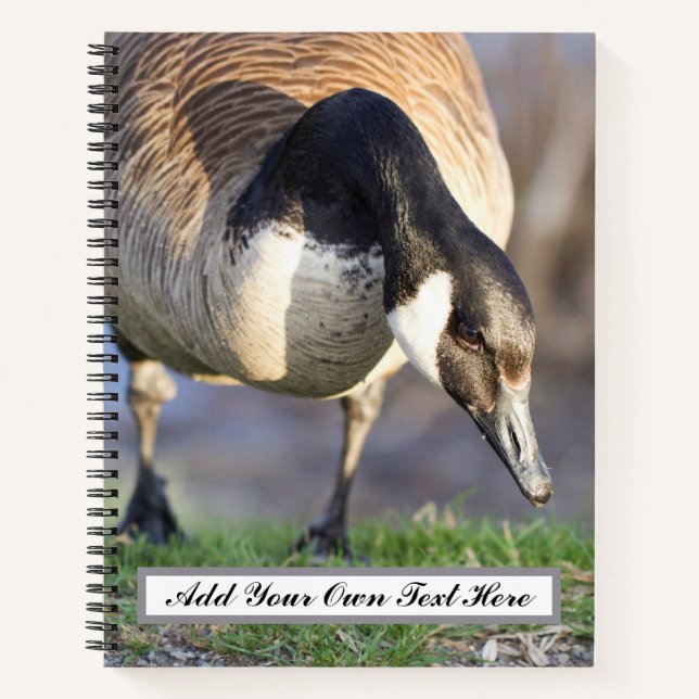 Carnet Canada Goos (Devant)