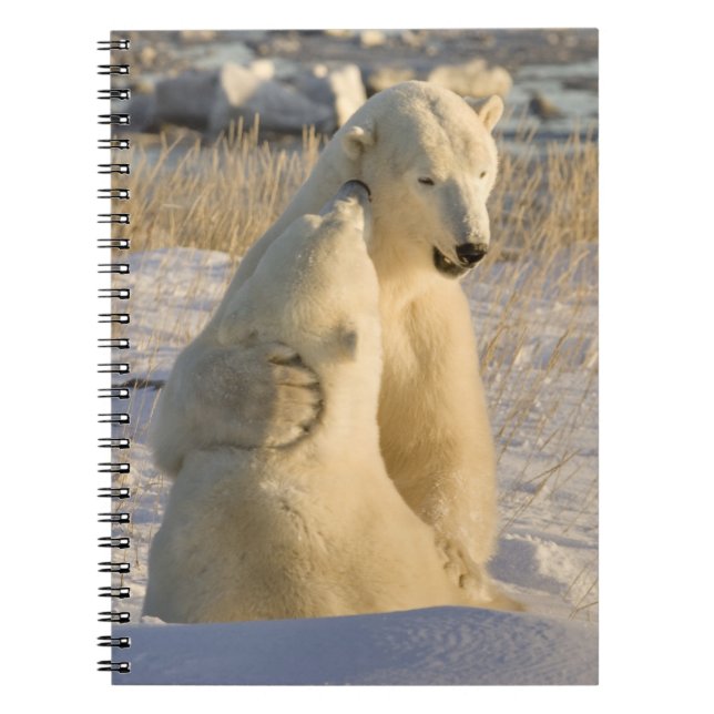 Carnet Canada, Manitoba, baie d'Hudson, Churchill. (Devant)