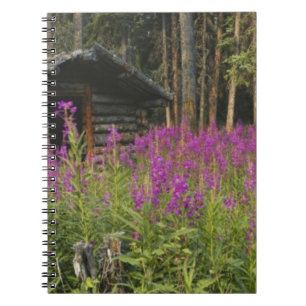 Carnet Canada, Yukon, région de Ross River, cabane abando