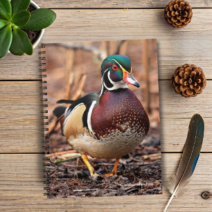 Carnet Canard à bois mâle dans les bois