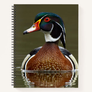 Carnet Canard à bois sur l'eau