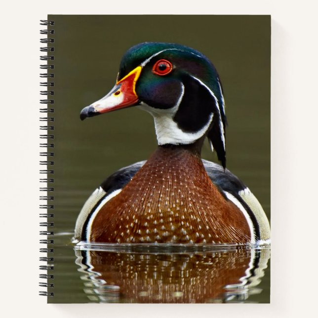 Carnet Canard à bois sur l'eau (Devant)