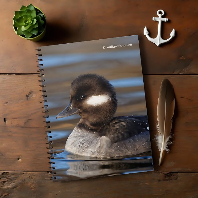 Carnet Canard à tête de tampon mou sur les eaux éclairées (Cute Bufflehead Duck on Sunlit Waters Journal Cover Photo)