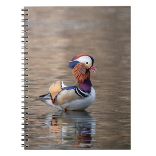 Carnet Canard de Mandarin