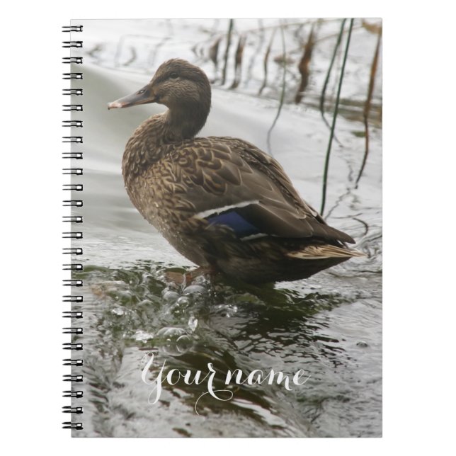 Carnet Canard gris sur la nuit du lac (Devant)