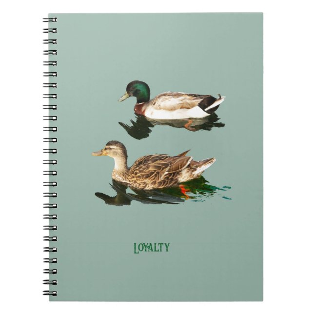 Carnet Canards colverts (Devant)