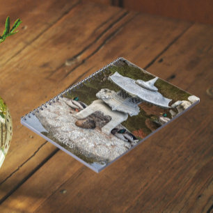 Carnet Canards lanternes et colverts japonais